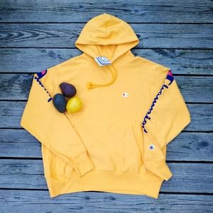 Champion Reverse Weave Hoodie Velvet Sweatshirt